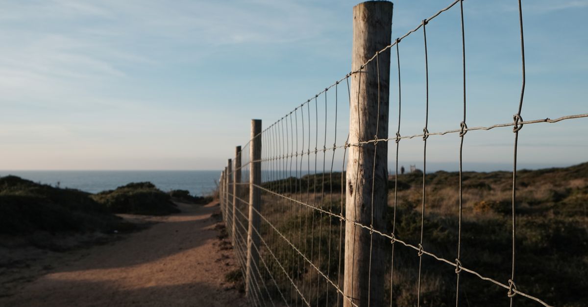 Benefits of Bamboo Fencing as a Sustainable Choice