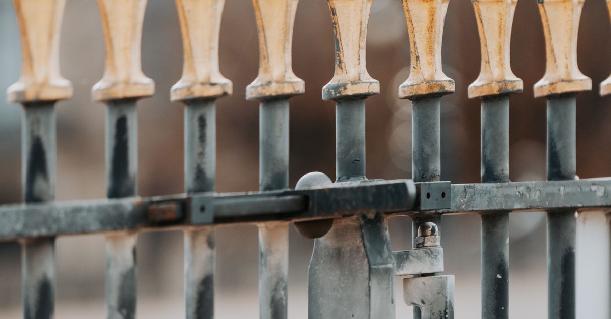 Chain Link Fencing Variants Suitable for Gardens