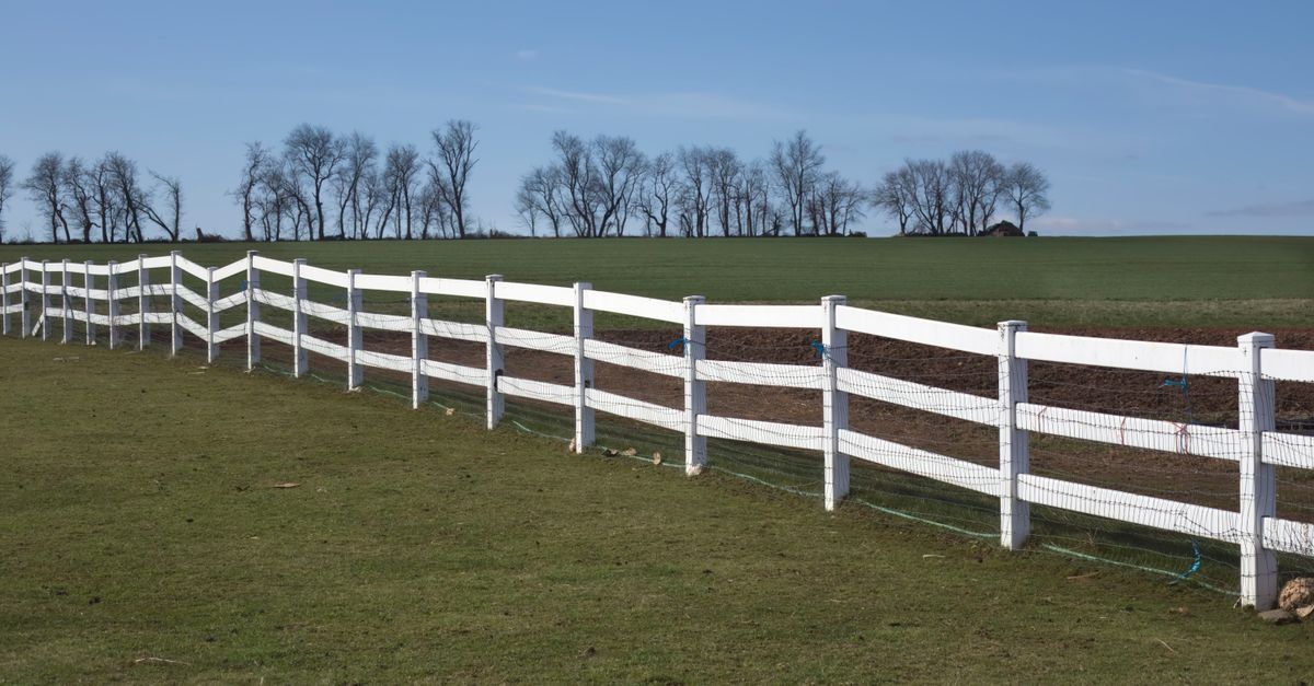 Complete Guide to Fencing Lubricants and Sealants