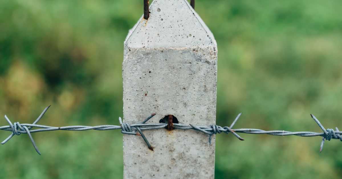 Designing a Garden with Reclaimed Fencing Elements