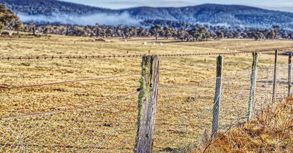DIY Fixes for Minor Fence Damages
