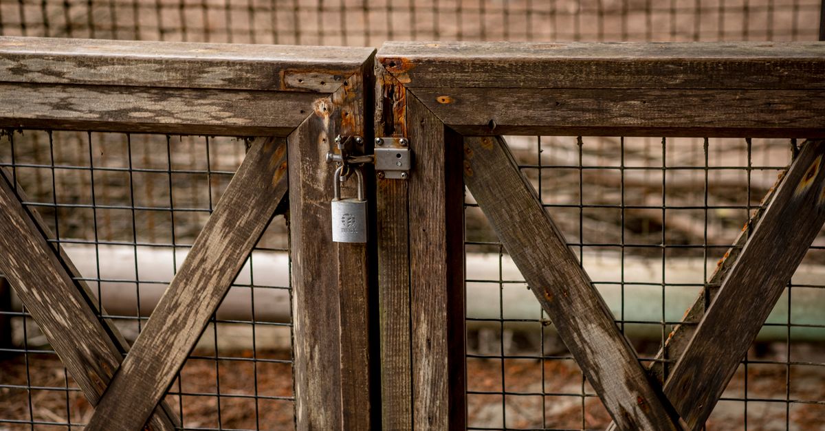 Eco-Friendly Fencing Materials for Sustainable Homes
