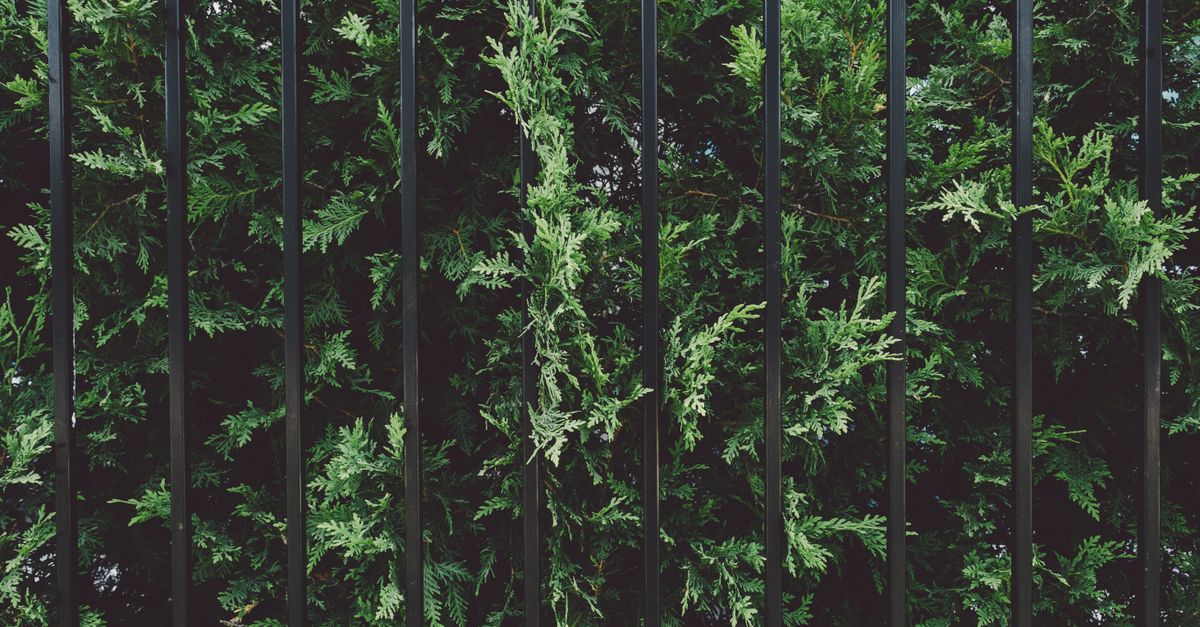 How Location Affects Pricing for Commercial Fencing Services