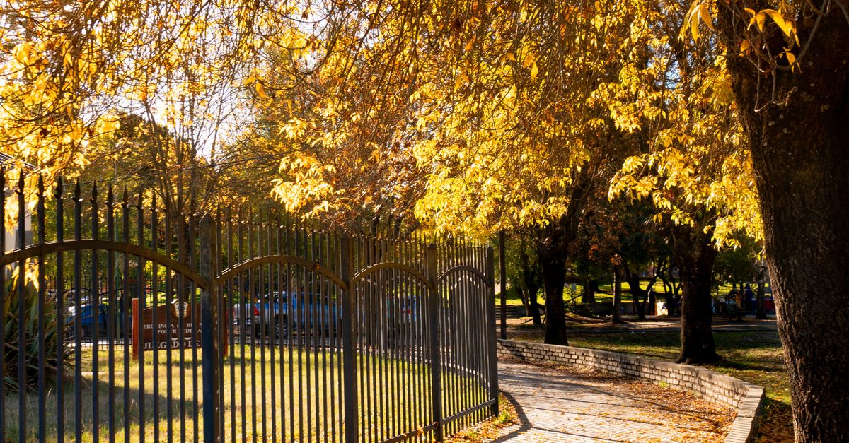 Rustic Fencing Ideas that Bring Charm to Your Melbourne Property