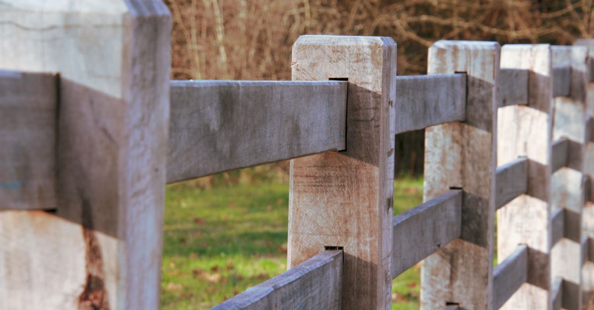 The Appeal of Picket Fencing in Australian Architecture