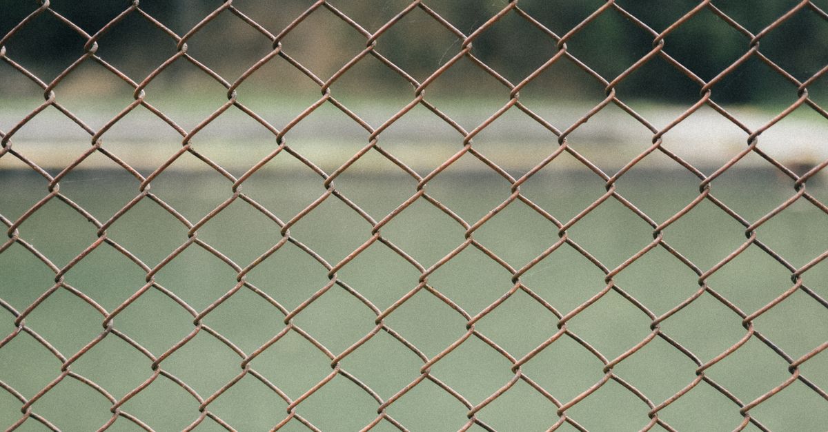 Understanding the Different Types of Timber Fencing Materials Available